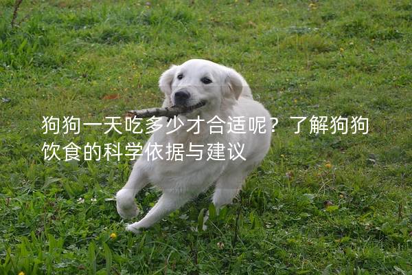 狗狗一天吃多少才合适呢？了解狗狗饮食的科学依据与建议