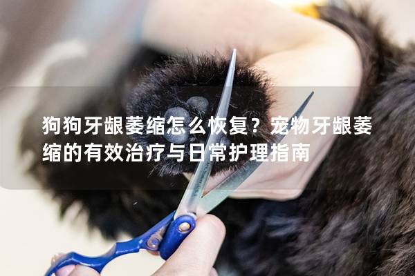 狗狗牙龈萎缩怎么恢复？宠物牙龈萎缩的有效治疗与日常护理指南
