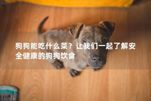 狗狗能吃什么菜？让我们一起了解安全健康的狗狗饮食