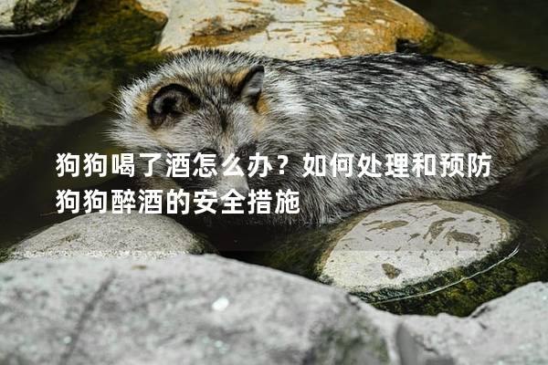 狗狗喝了酒怎么办？如何处理和预防狗狗醉酒的安全措施