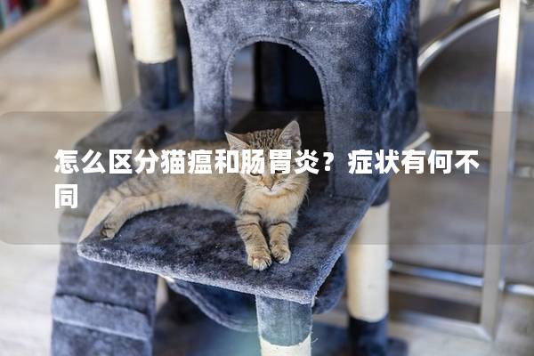 怎么区分猫瘟和肠胃炎？症状有何不同