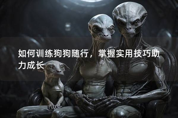 如何训练狗狗随行，掌握实用技巧助力成长