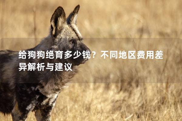 给狗狗绝育多少钱？不同地区费用差异解析与建议