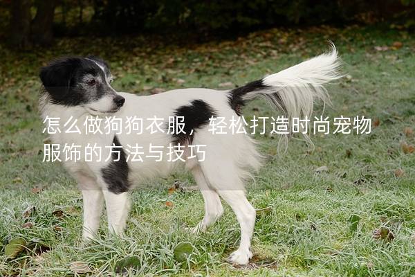 怎么做狗狗衣服，轻松打造时尚宠物服饰的方法与技巧