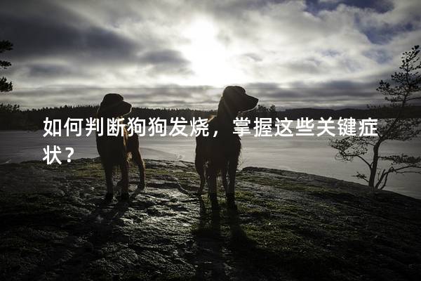 如何判断狗狗发烧，掌握这些关键症状？