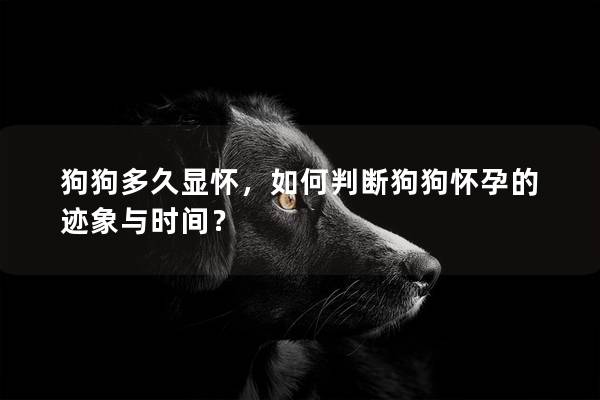 狗狗多久显怀，如何判断狗狗怀孕的迹象与时间？