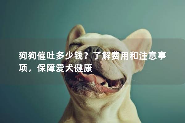 狗狗催吐多少钱？了解费用和注意事项，保障爱犬健康