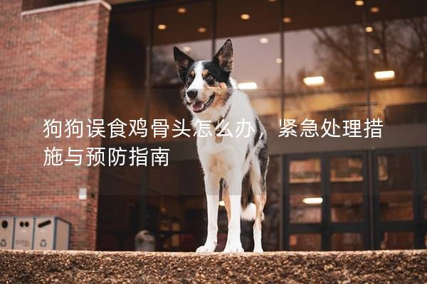 狗狗误食鸡骨头怎么办，紧急处理措施与预防指南