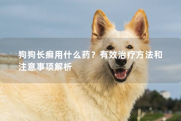 狗狗长癣用什么药？有效治疗方法和注意事项解析
