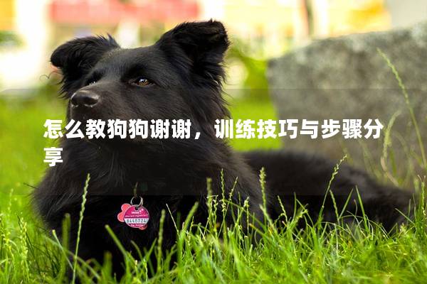 怎么教狗狗谢谢，训练技巧与步骤分享