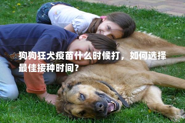 狗狗狂犬疫苗什么时候打，如何选择最佳接种时间？