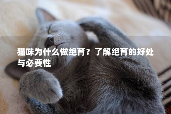 猫咪为什么做绝育？了解绝育的好处与必要性