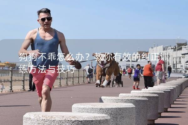 狗狗不乖怎么办？教你有效的纠正训练方法与技巧