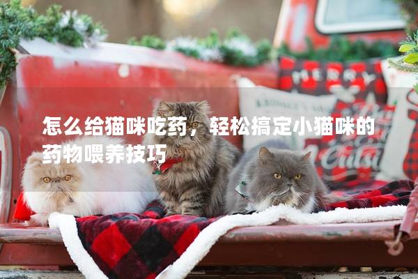 怎么给猫咪吃药，轻松搞定小猫咪的药物喂养技巧