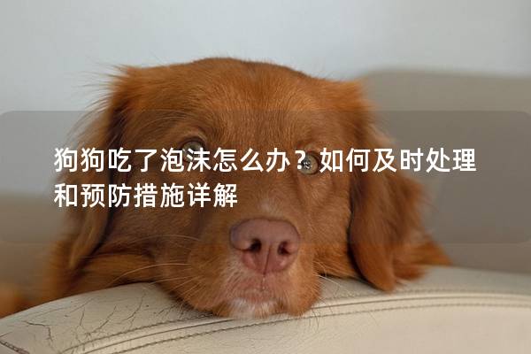 狗狗吃了泡沫怎么办？如何及时处理和预防措施详解