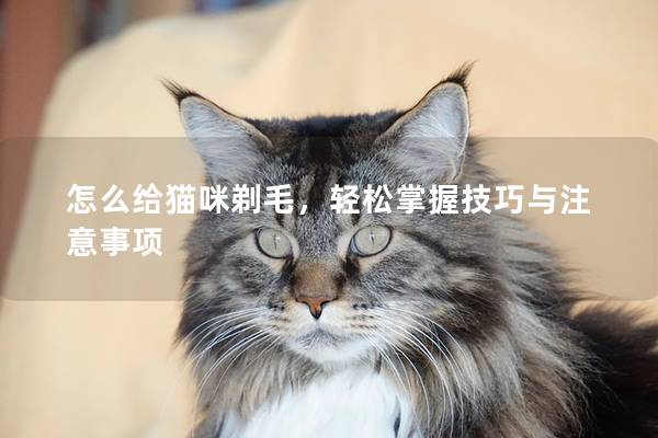 怎么给猫咪剃毛，轻松掌握技巧与注意事项