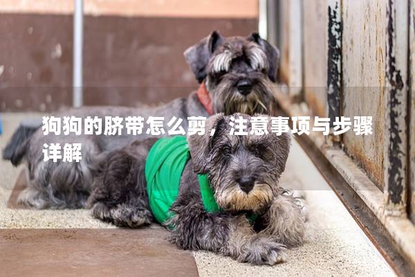 狗狗的脐带怎么剪，注意事项与步骤详解