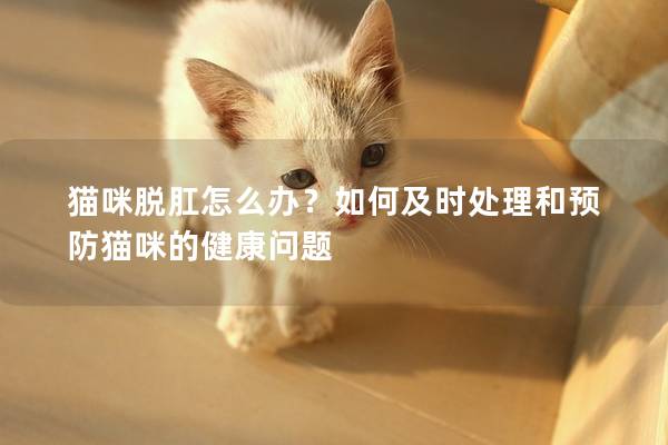 猫咪脱肛怎么办？如何及时处理和预防猫咪的健康问题