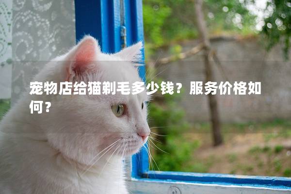 宠物店给猫剃毛多少钱？服务价格如何？
