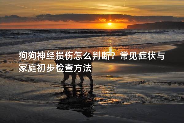 狗狗神经损伤怎么判断？常见症状与家庭初步检查方法