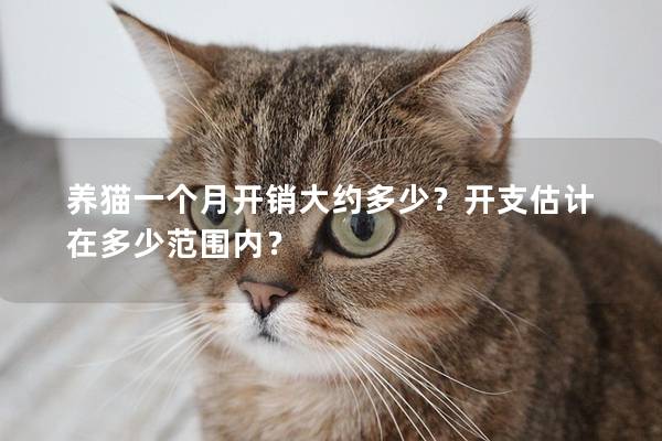 养猫一个月开销大约多少？开支估计在多少范围内？
