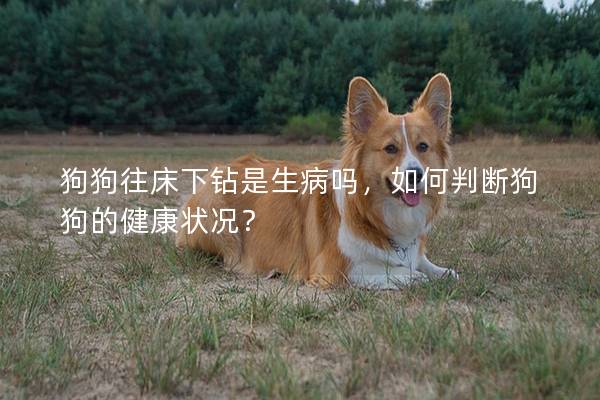 狗狗往床下钻是生病吗，如何判断狗狗的健康状况？