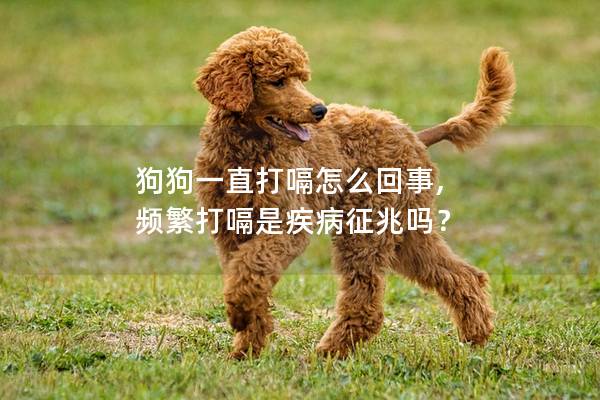 狗狗一直打嗝怎么回事, 频繁打嗝是疾病征兆吗？