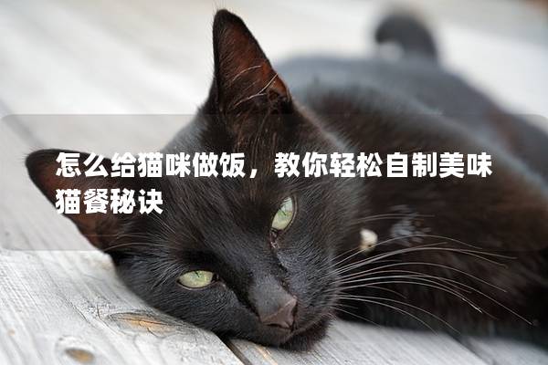 怎么给猫咪做饭，教你轻松自制美味猫餐秘诀