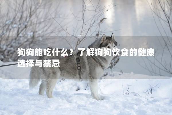 狗狗能吃什么？了解狗狗饮食的健康选择与禁忌