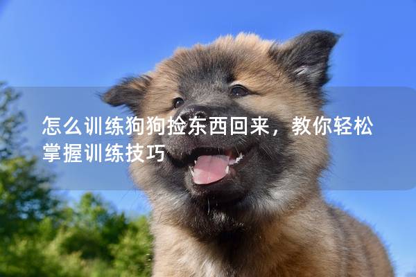 怎么训练狗狗捡东西回来，教你轻松掌握训练技巧