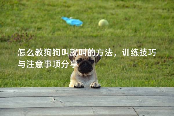 怎么教狗狗叫就叫的方法，训练技巧与注意事项分享