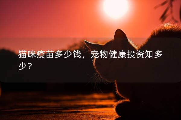 猫咪疫苗多少钱，宠物健康投资知多少？