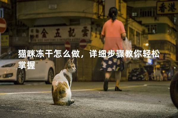 猫咪冻干怎么做，详细步骤教你轻松掌握