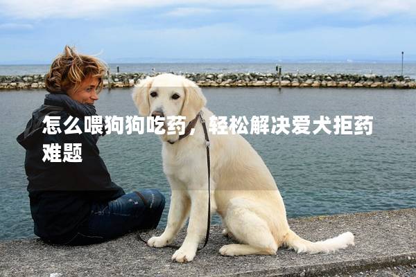 怎么喂狗狗吃药，轻松解决爱犬拒药难题