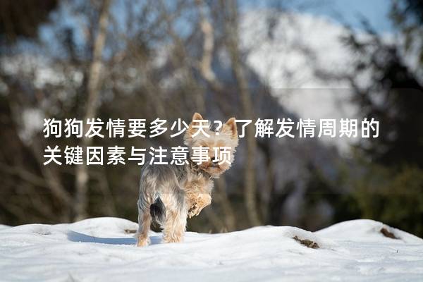 狗狗发情要多少天？了解发情周期的关键因素与注意事项