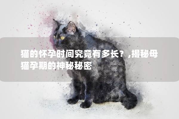 猫的怀孕时间究竟有多长？,揭秘母猫孕期的神秘秘密
