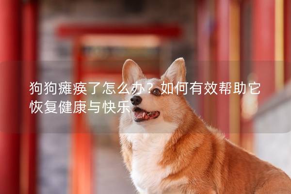 狗狗瘫痪了怎么办？如何有效帮助它恢复健康与快乐