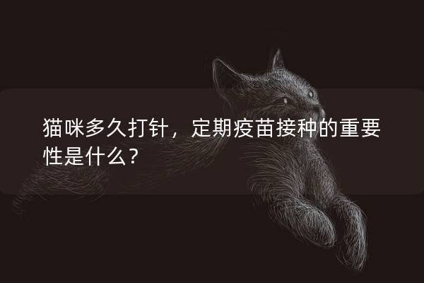 猫咪多久打针，定期疫苗接种的重要性是什么？