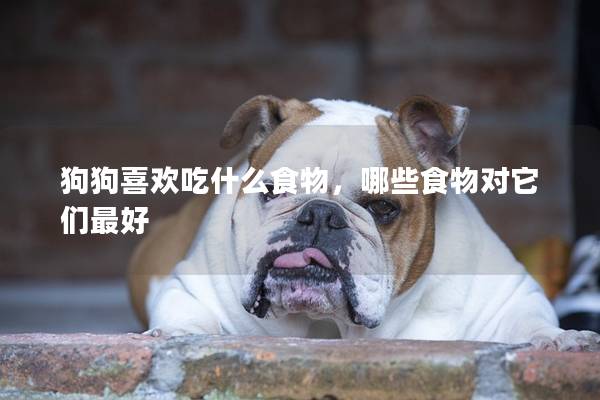 狗狗喜欢吃什么食物，哪些食物对它们最好