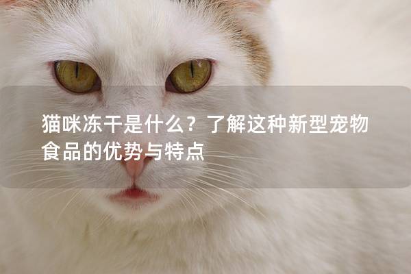 猫咪冻干是什么？了解这种新型宠物食品的优势与特点