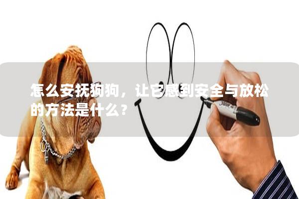 怎么安抚狗狗，让它感到安全与放松的方法是什么？