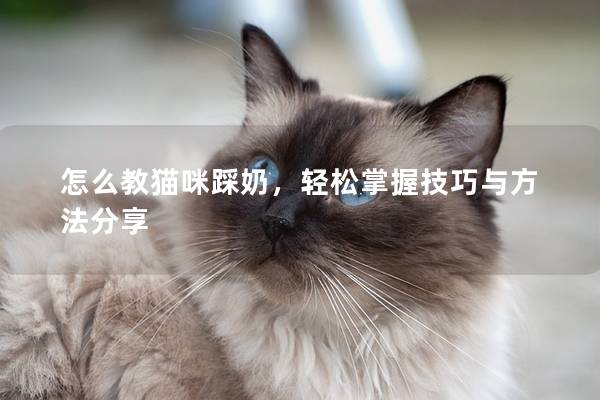 怎么教猫咪踩奶，轻松掌握技巧与方法分享