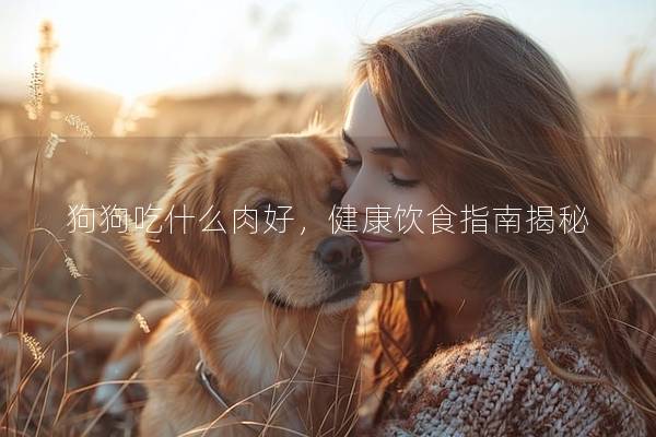 狗狗吃什么肉好，健康饮食指南揭秘