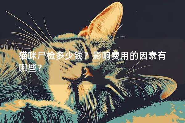 猫咪尸检多少钱？影响费用的因素有哪些？