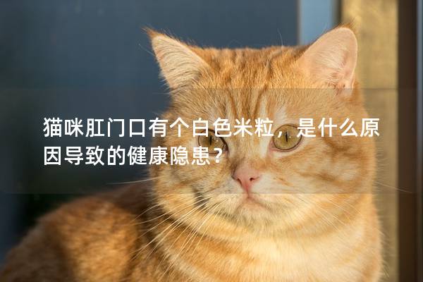 猫咪肛门口有个白色米粒，是什么原因导致的健康隐患？