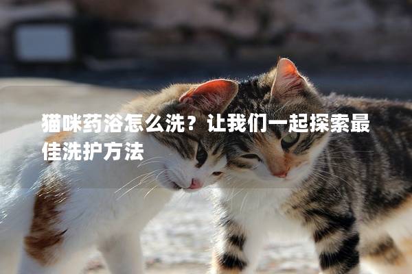 猫咪药浴怎么洗？让我们一起探索最佳洗护方法