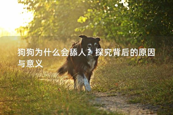 狗狗为什么会舔人？探究背后的原因与意义