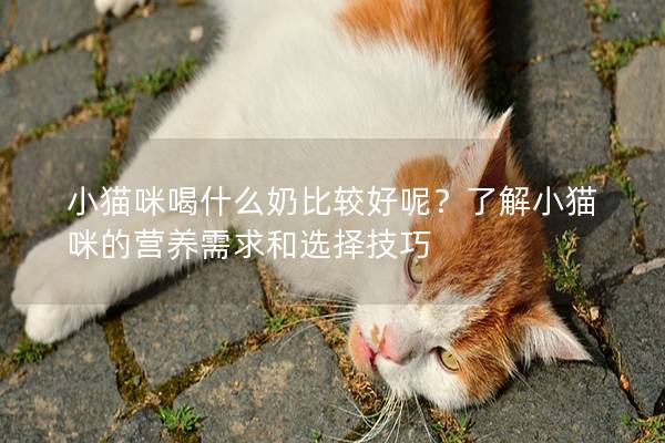 小猫咪喝什么奶比较好呢？了解小猫咪的营养需求和选择技巧