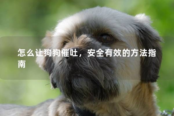 怎么让狗狗催吐，安全有效的方法指南