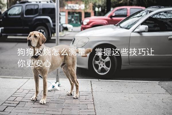 狗狗发烧怎么测量，掌握这些技巧让你更安心